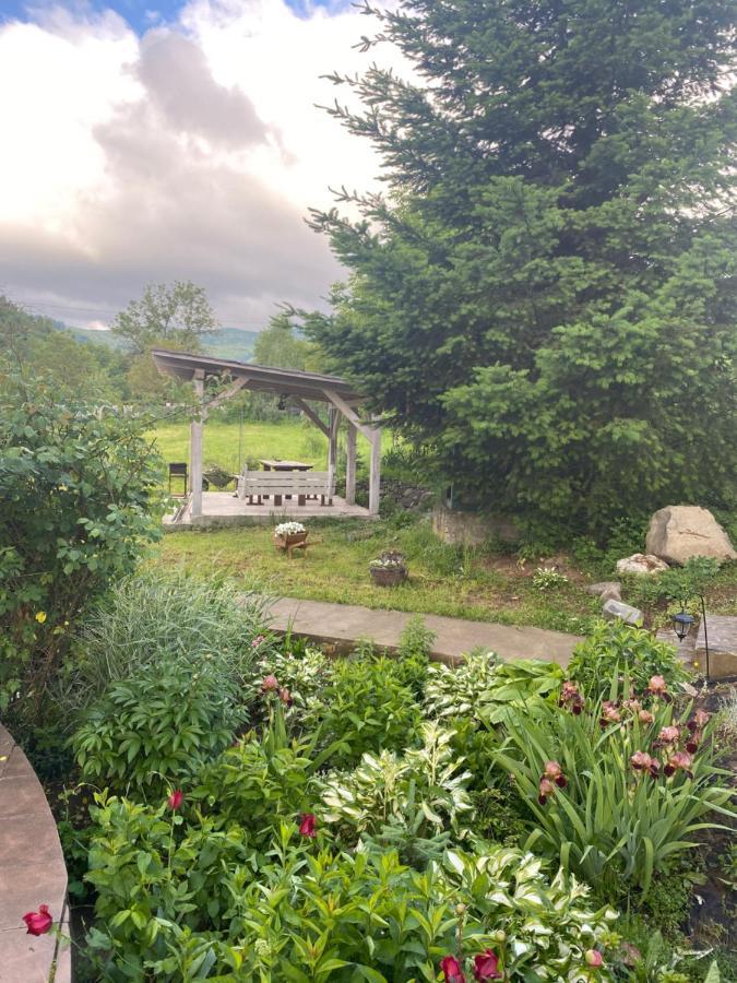 Holiday Home Usadba Novoselitsa Novoselitsa  Dış mekan fotoğraf