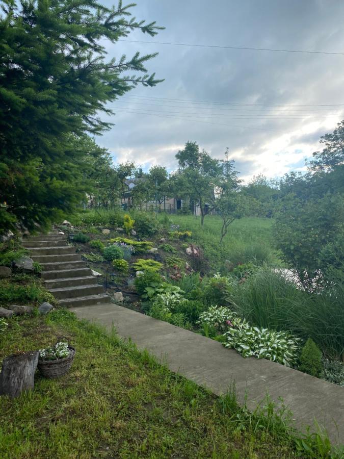 Holiday Home Usadba Novoselitsa Novoselitsa  Dış mekan fotoğraf