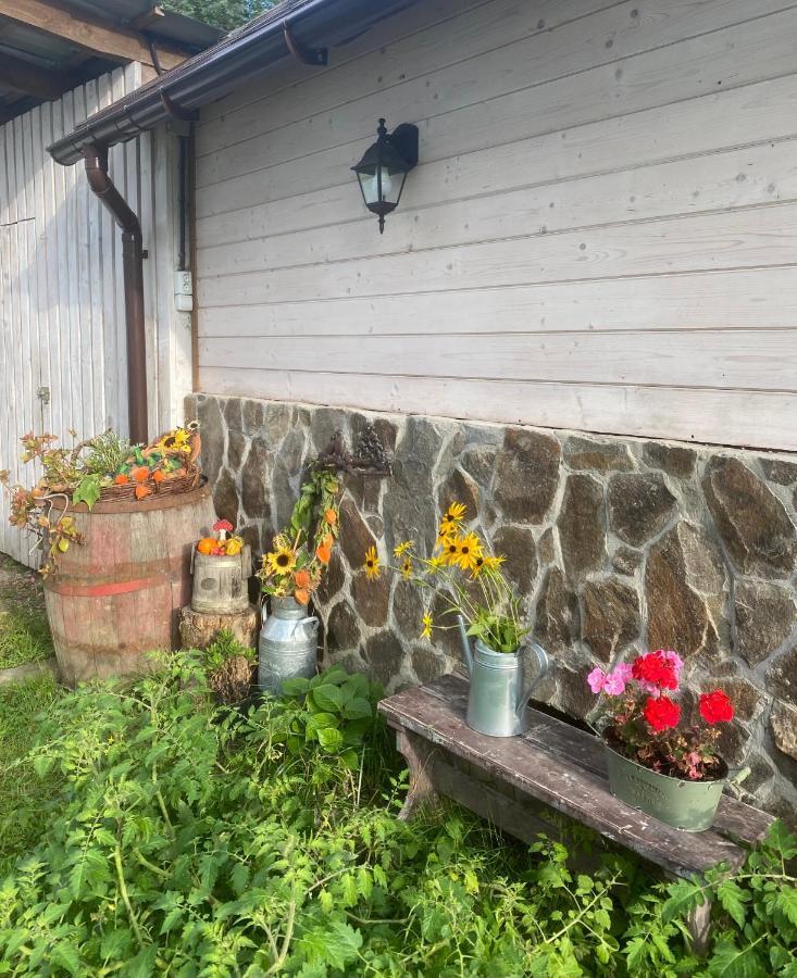 Holiday Home Usadba Novoselitsa Novoselitsa  Dış mekan fotoğraf