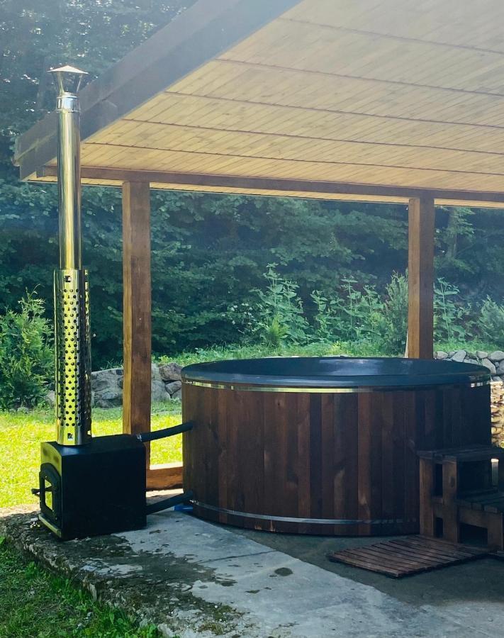 Holiday Home Usadba Novoselitsa Novoselitsa  Dış mekan fotoğraf