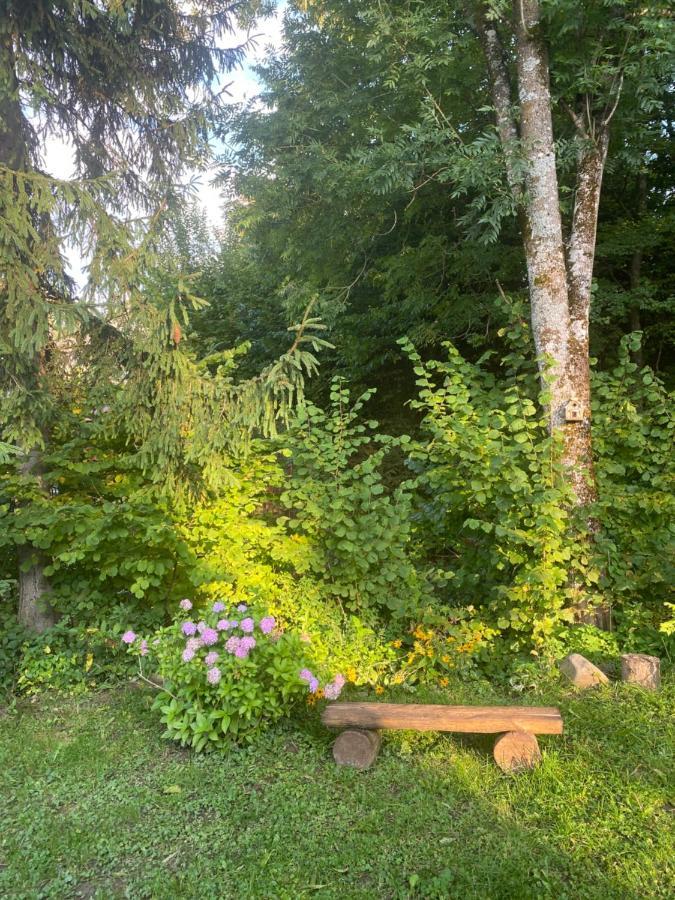 Holiday Home Usadba Novoselitsa Novoselitsa  Dış mekan fotoğraf