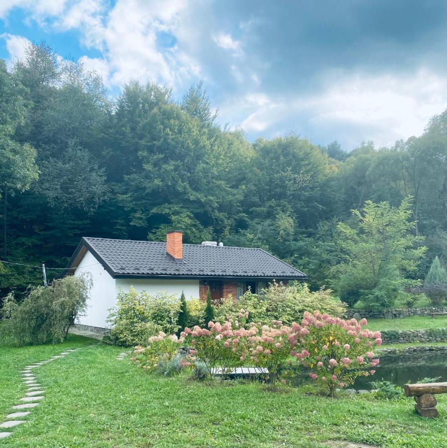 Holiday Home Usadba Novoselitsa Novoselitsa  Dış mekan fotoğraf