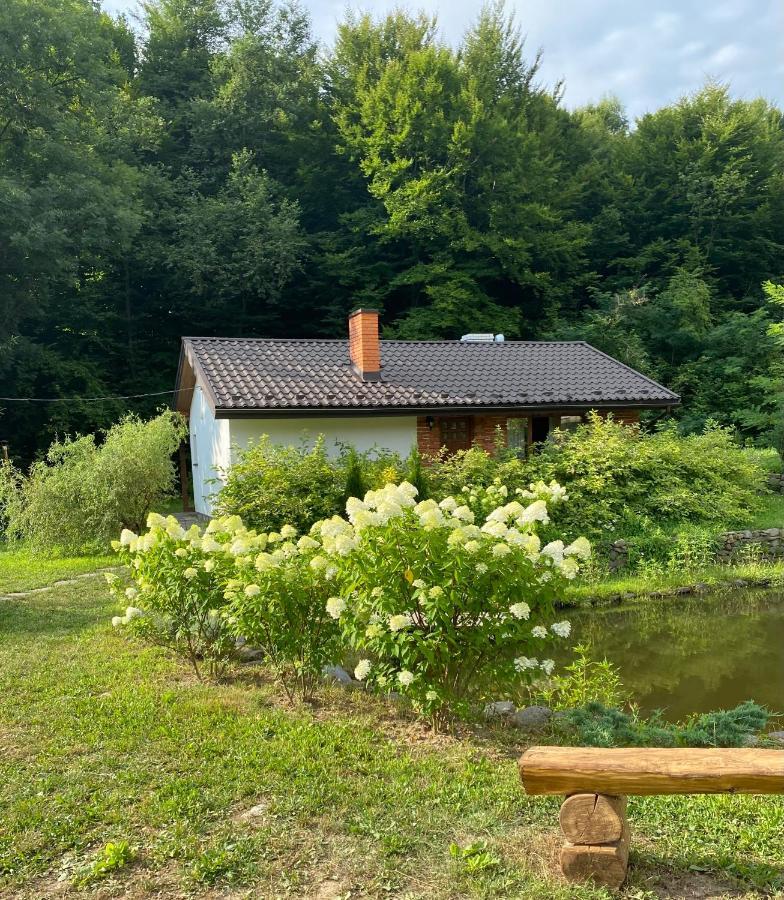 Holiday Home Usadba Novoselitsa Novoselitsa  Dış mekan fotoğraf