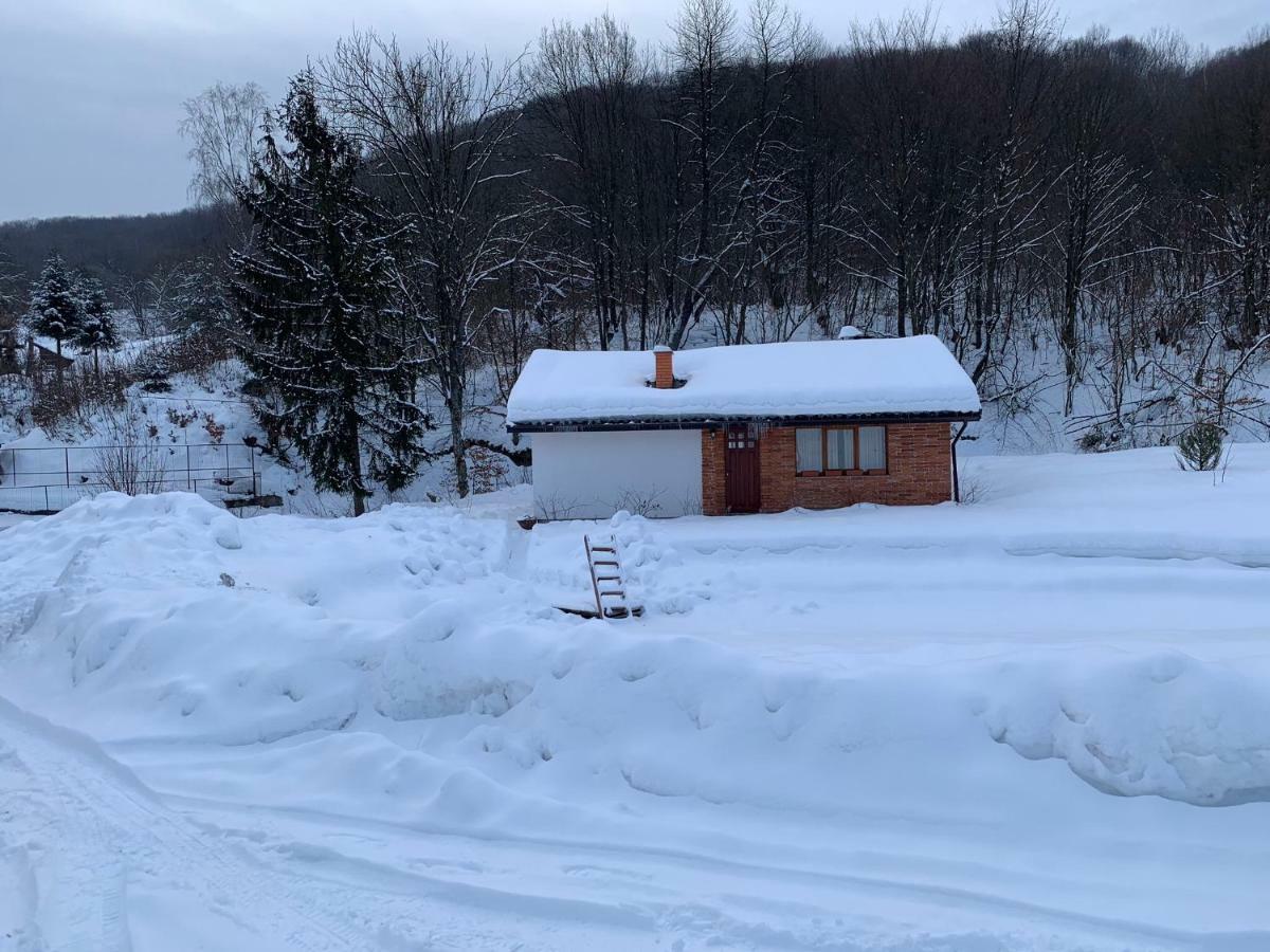 Holiday Home Usadba Novoselitsa Novoselitsa  Dış mekan fotoğraf