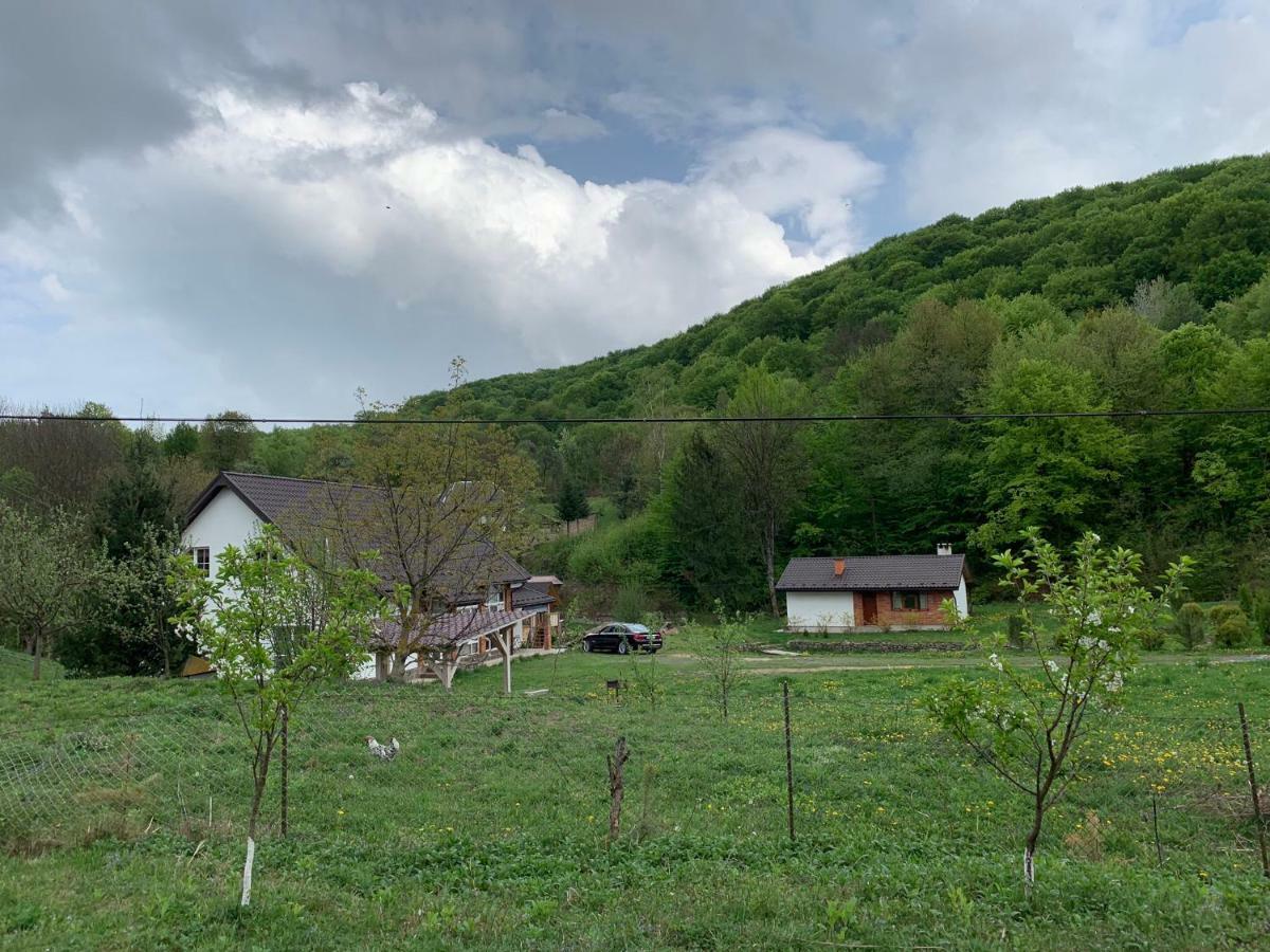 Holiday Home Usadba Novoselitsa Novoselitsa  Dış mekan fotoğraf