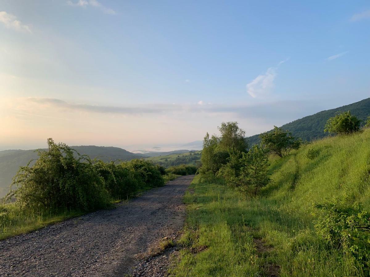 Holiday Home Usadba Novoselitsa Novoselitsa  Dış mekan fotoğraf